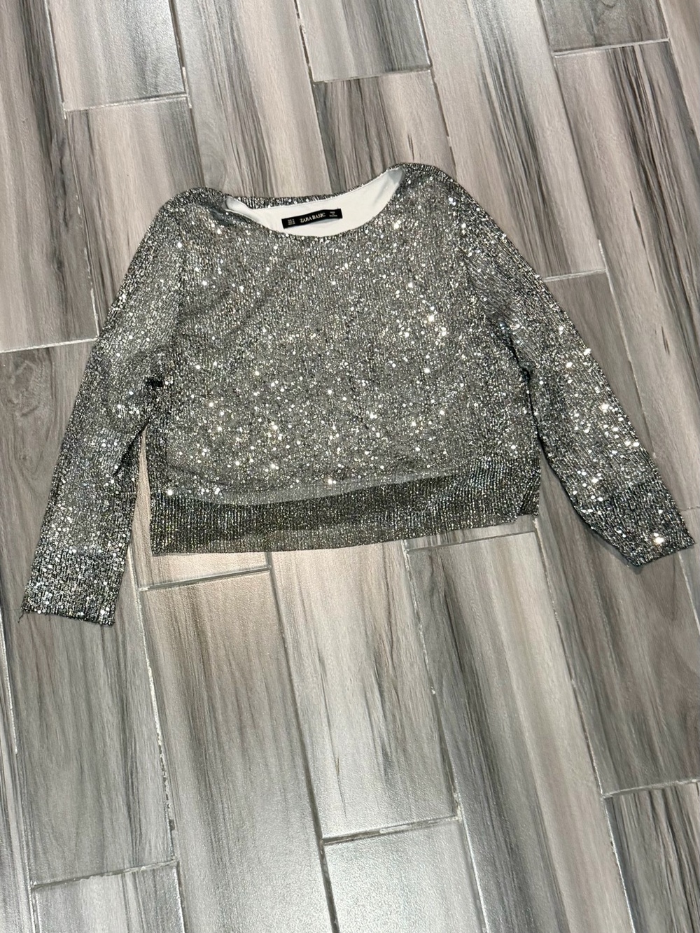 Zara Silver Sequin Crop Top
